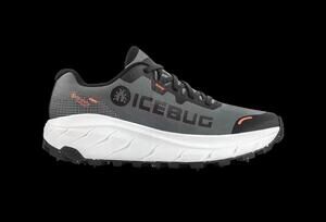 NEW ICEBUG women's arcus 2 bugrip gtx shoes in grey
